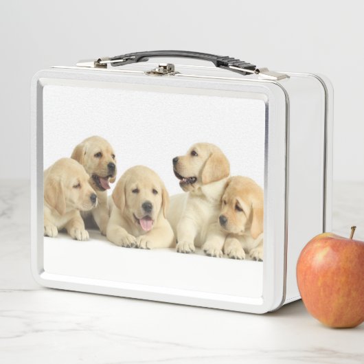 Lunch Box Pupin doré du Labrador (En situation)