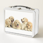 Lunch Box Pupin doré du Labrador (Devant)