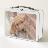 Lunch Box Puppy Pékin (Devant)