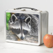 Lunch Box Raccoon 003 (En situation)