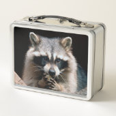 Lunch Box Raccoon 004 (Dos)