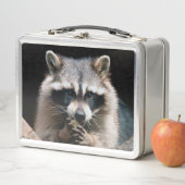 Lunch Box Raccoon 004 (En situation)