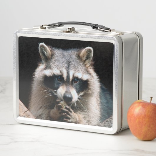 Lunch Box Raccoon 004 (En situation)