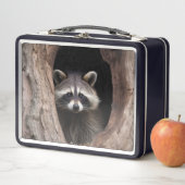 Lunch Box Racon dans la grotte des arbres (En situation)