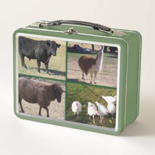 Lunch Box Ranch Life, Bétail