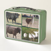 Lunch Box Ranch Life, Bétail (Dos)
