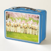 Lunch Box Rangée de lapins chiots (Dos)