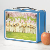 Lunch Box Rangée de lapins chiots (En situation)