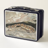 Lunch Box Rattlesnake at Shenandoah National Park (Dos)