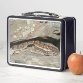 Lunch Box Rattlesnake at Shenandoah National Park (En situation)