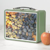 Lunch Box Rayures Et Citrouilles (En situation)