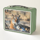 Lunch Box Regal (Dos)