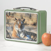 Lunch Box Regal (En situation)