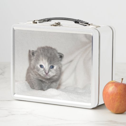 Lunch Box Regardez ce petit chaton gris (En situation)