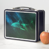 Lunch Box Requin Bleu-vert (En situation)