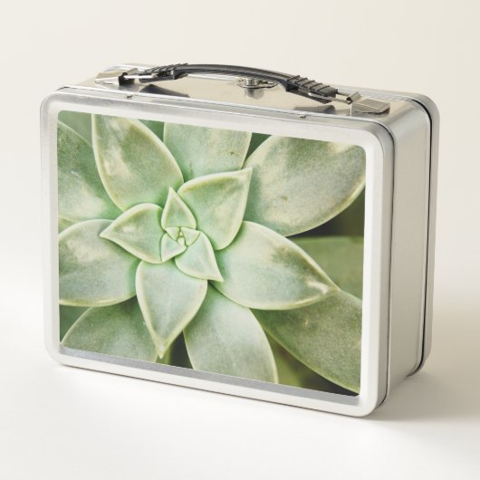 Lunch Box Ressort Succulent (Dos)