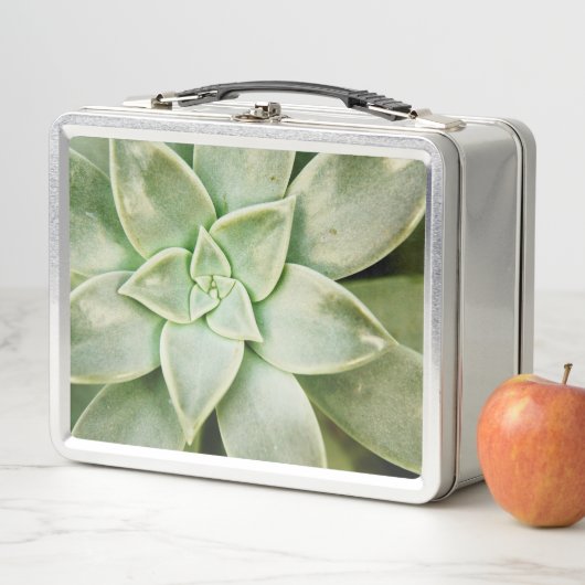 Lunch Box Ressort Succulent (En situation)
