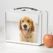 Lunch Box Retriever d'or souriant (En situation)