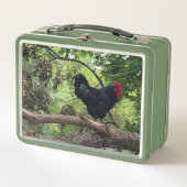 Lunch Box Rooster (Devant)