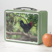 Lunch Box Rooster (En situation)