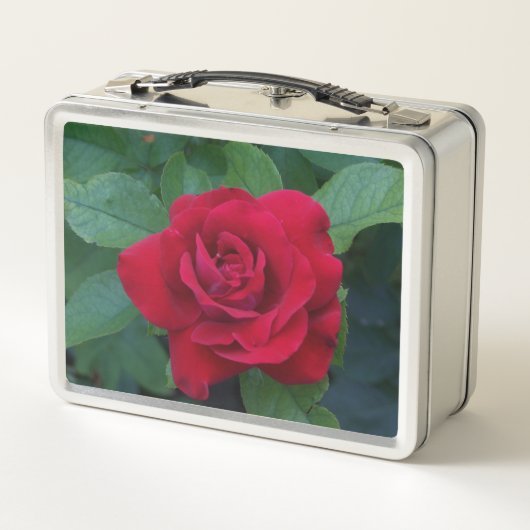 Lunch Box Rose rouge proche (Dos)