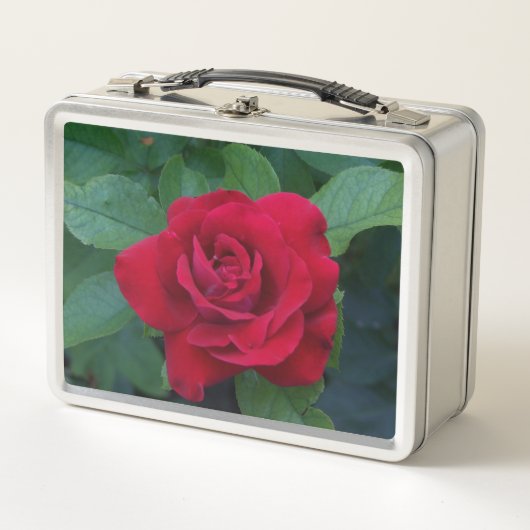 Lunch Box Rose rouge proche (Devant)