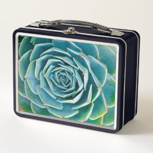Lunch Box Rosette d'Echeveria, Jardin Secret de Marrakech