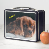 Lunch Box Ruby Cavalier King Charles Spaniel Chien (En situation)