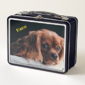 Lunch Box Ruby Cavalier King Charles Spaniel Chien (Devant)