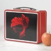 Lunch Box Ruby Red Siamese Lutter contre le poisson (En situation)
