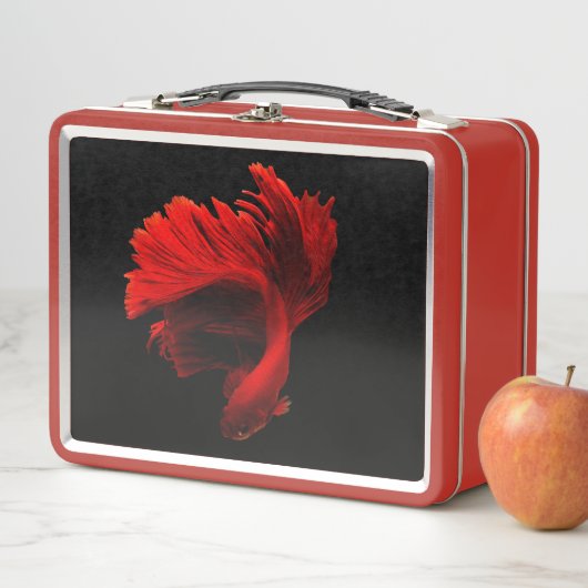 Lunch Box Ruby Red Siamese Lutter contre le poisson (En situation)