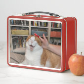 Lunch Box Scarlett replète (En situation)