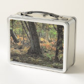 Lunch Box Scène de forêt automnale (Dos)
