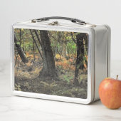 Lunch Box Scène de forêt automnale (En situation)