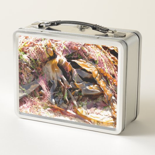 LUNCH BOX SEAWEED (Dos)