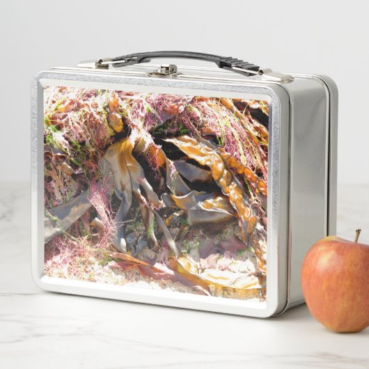 LUNCH BOX SEAWEED (En situation)