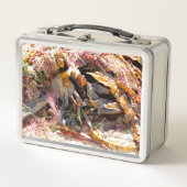 LUNCH BOX SEAWEED (Devant)