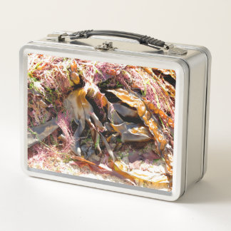 LUNCH BOX SEAWEED