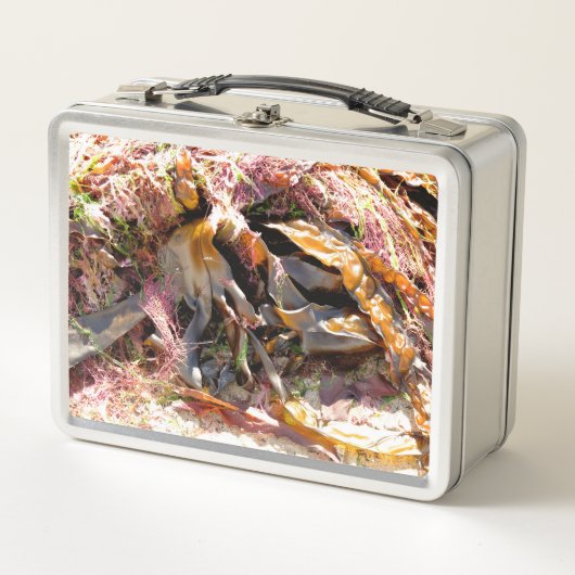 LUNCH BOX SEAWEED (Devant)