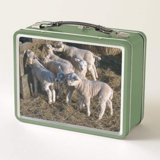 Lunch Box Sept agneaux affamés (Dos)