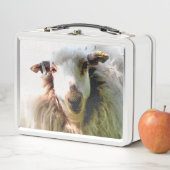 LUNCH BOX SHEEP (En situation)