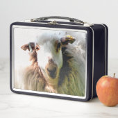 LUNCH BOX SHEEP (En situation)