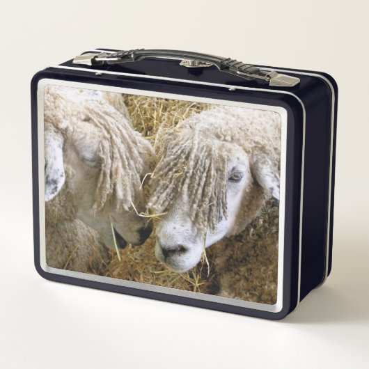 LUNCH BOX SHEEP (Dos)