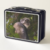 Lunch Box Singe bleu, Zanzibar (Dos)