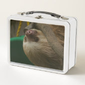 Lunch Box Sloth (Devant)