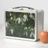 Lunch Box Snowdrops I (En situation)