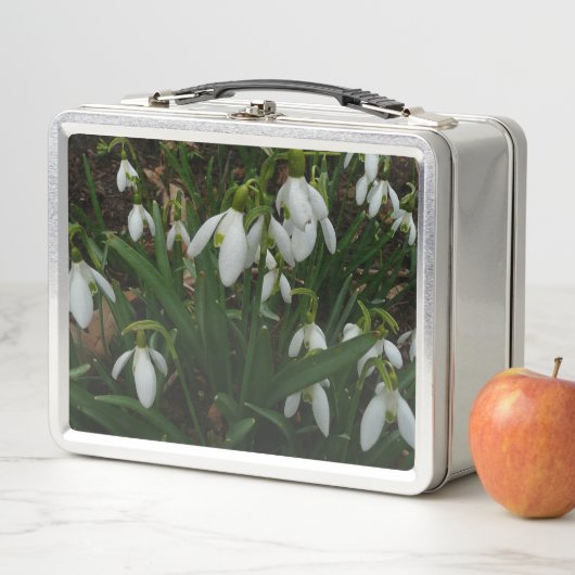 Lunch Box Snowdrops I (En situation)