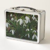 Lunch Box Snowdrops I (Devant)