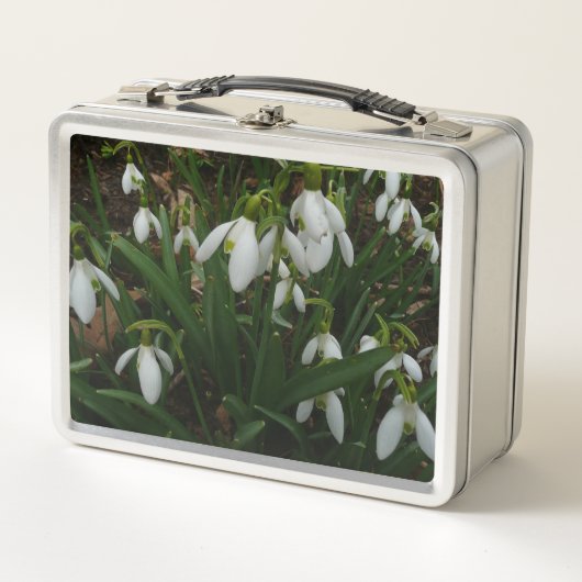 Lunch Box Snowdrops I (Devant)