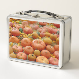 Lunch Box Squash Galore
